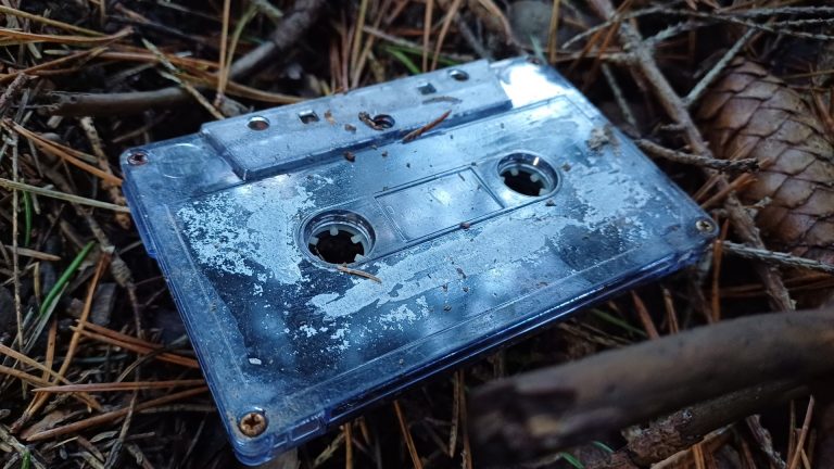 Eine alte Audiokassette liegt auf dem Waldboden.
