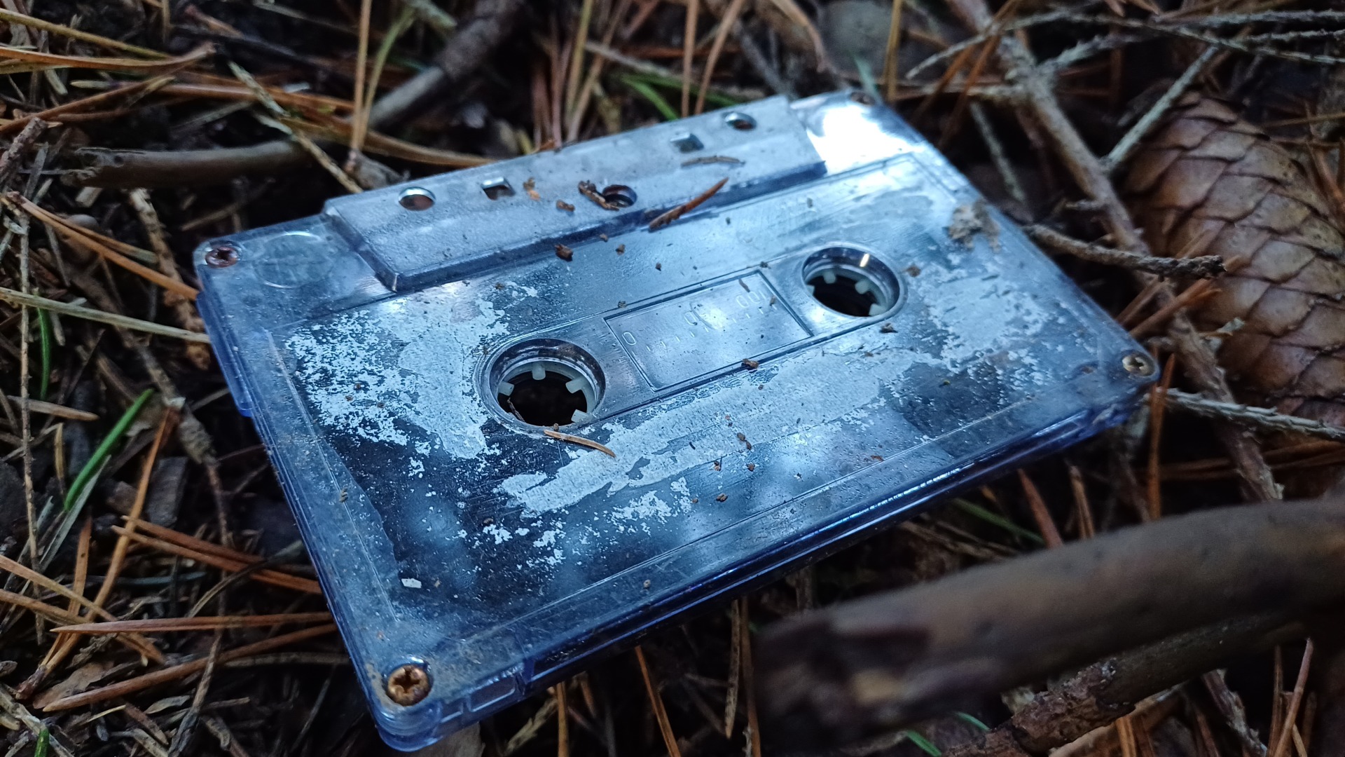 Eine alte Audiokassette liegt auf dem Waldboden.