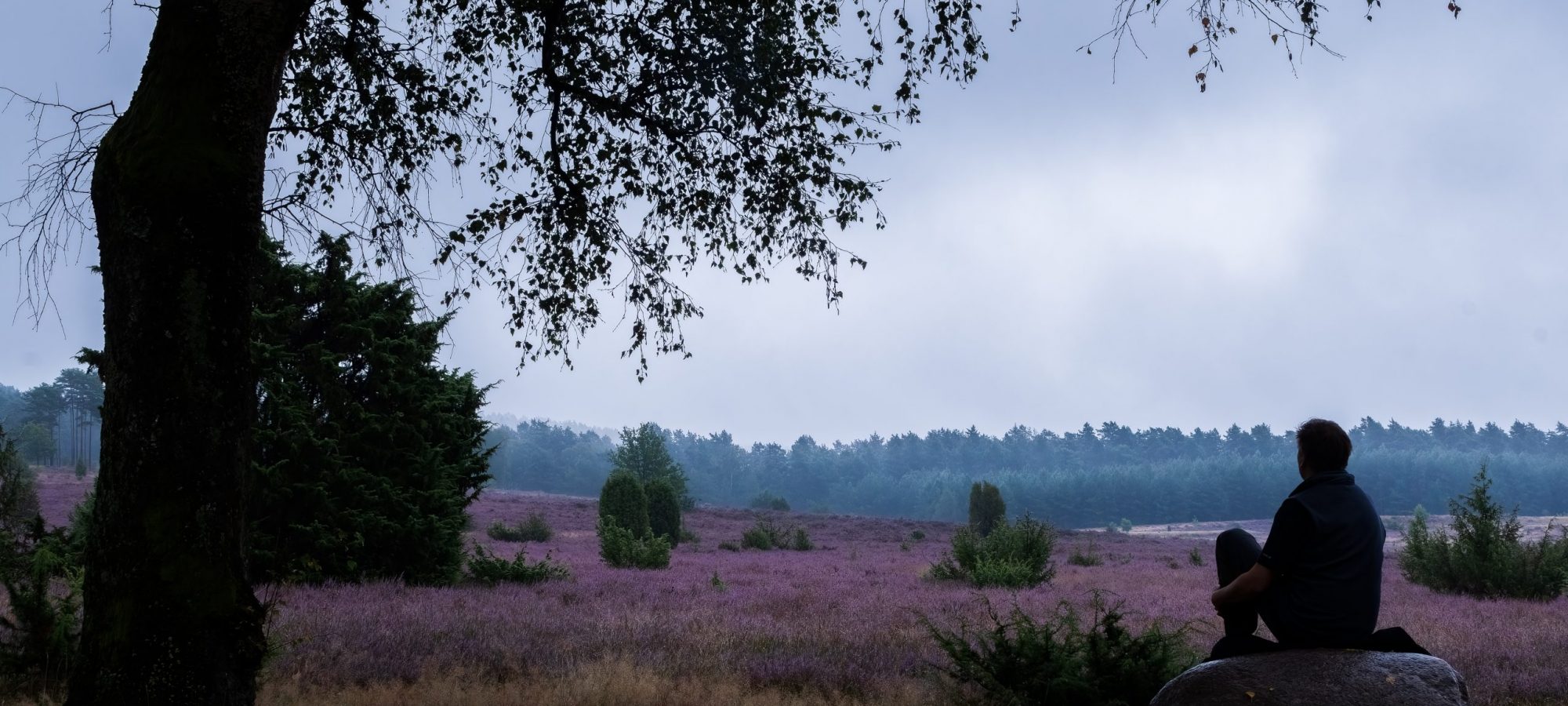 2 Exporte Waldboden (4 von 1)